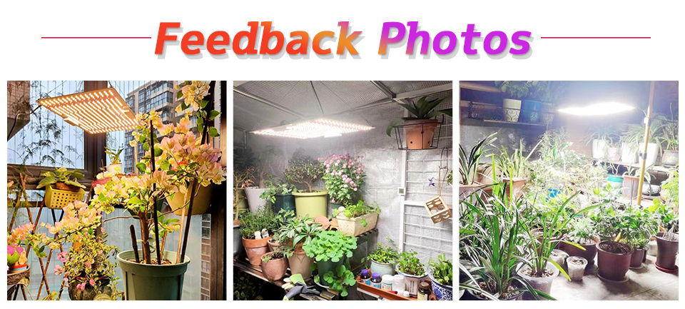 Full Power 100W Horticulture SMD Chip 3000K For Greenhouse Plants