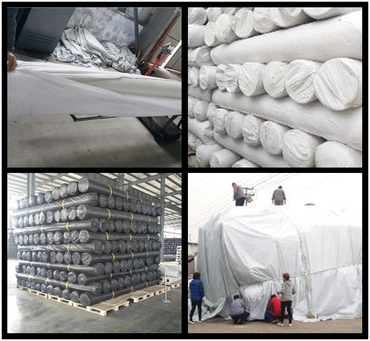 Chinese Design Style Geocomposite Drainage Sheet with CE/ISO9001/ISO14001 Certificate