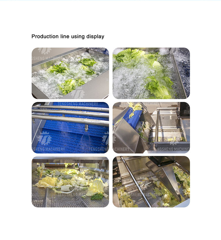 Vegetables and Fruits Bubble Cleaning Vibration Air Drying Machine Production Line