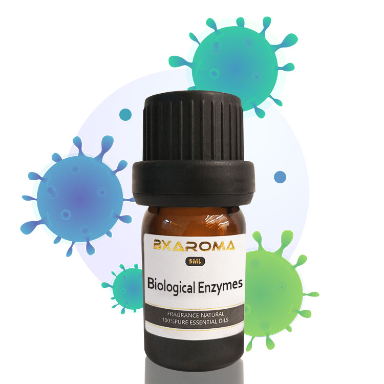 500ML Aroma Diffuser Essential Oil Disinfect Peppermint Essential Oil