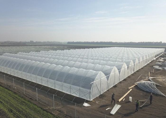 Uv Resistant Polyethylene Berry Hoop Film Greenhouse With Door Keep Warm Growing Strawberry Blueberry