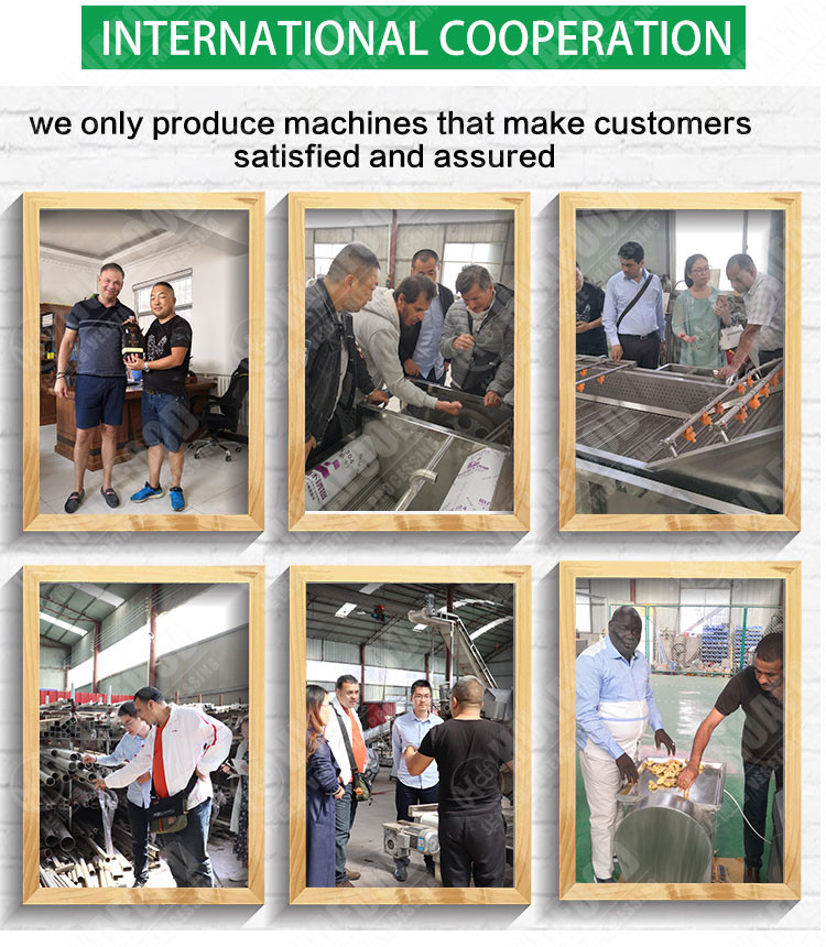 700kg/H 380v Lotus Root Vegetable Washing Machine