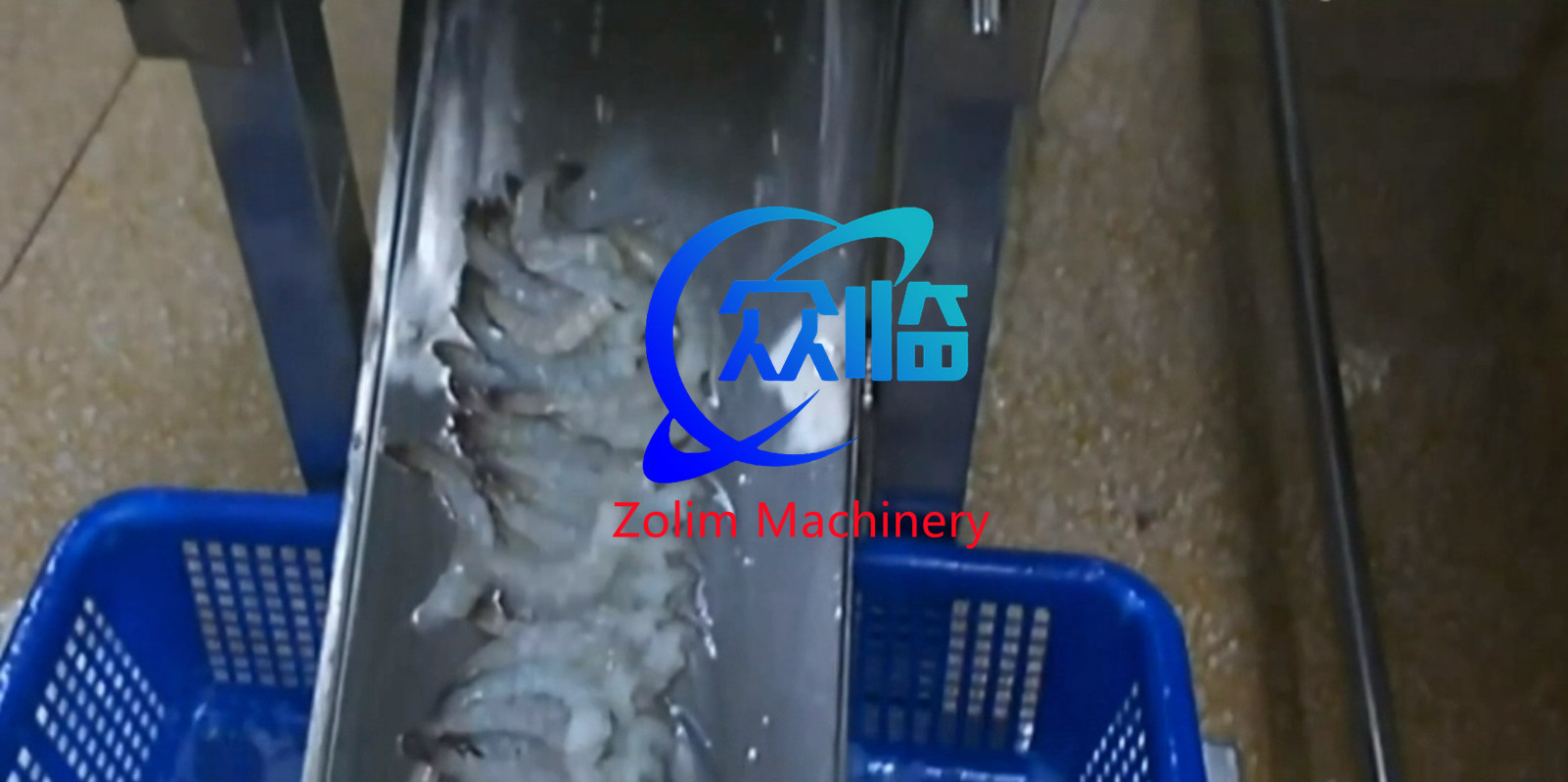 High Speed Shrimp Processing Machine, Prawn Cutting Machine For Nobashi