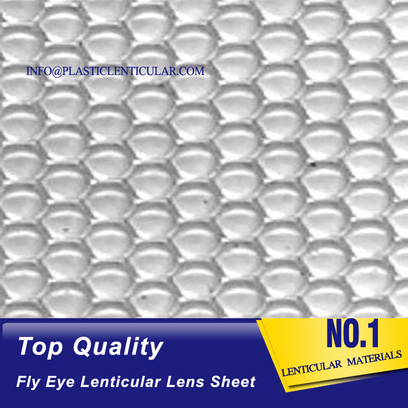 PLASTIC LENTICULAR fly's eyes Lenticular sheet cylinder pp 3d suppliers-Lenticular sheet dot lens image philippines