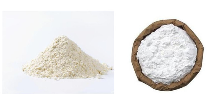 25kg Quantitative Filling Building Materials Packing Machine
