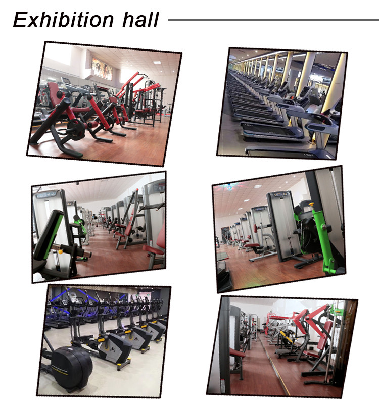 Digital Display New Design Fitness Equipment , Chest Workout Machines Imported Bearings