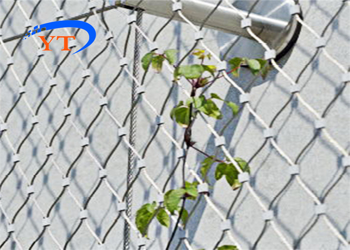1.6mm Sus304 Stainless Steel Cable Mesh 100x100mm High Tensile