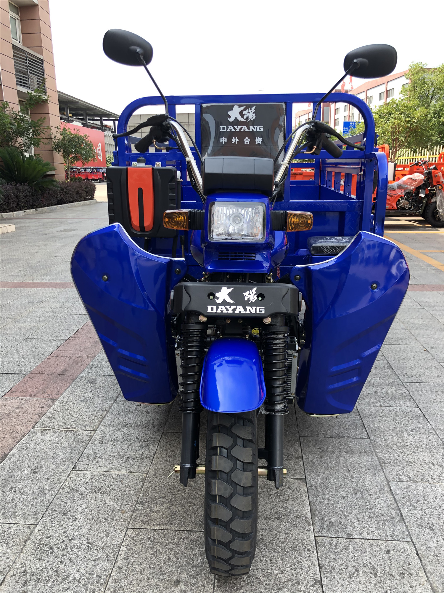 DAYANG DY-Q2 175cc Africa Heavy Load Motor Tricycle 3150 mm Length 4.5 Load Capacity