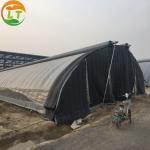 China Agricultural Light-Sensitive Greenhouse The Perfect Solution for Mushroom Cultivation for sale