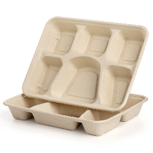 Peohud 50 Pack 6 Compartment Disposable Paper Plates