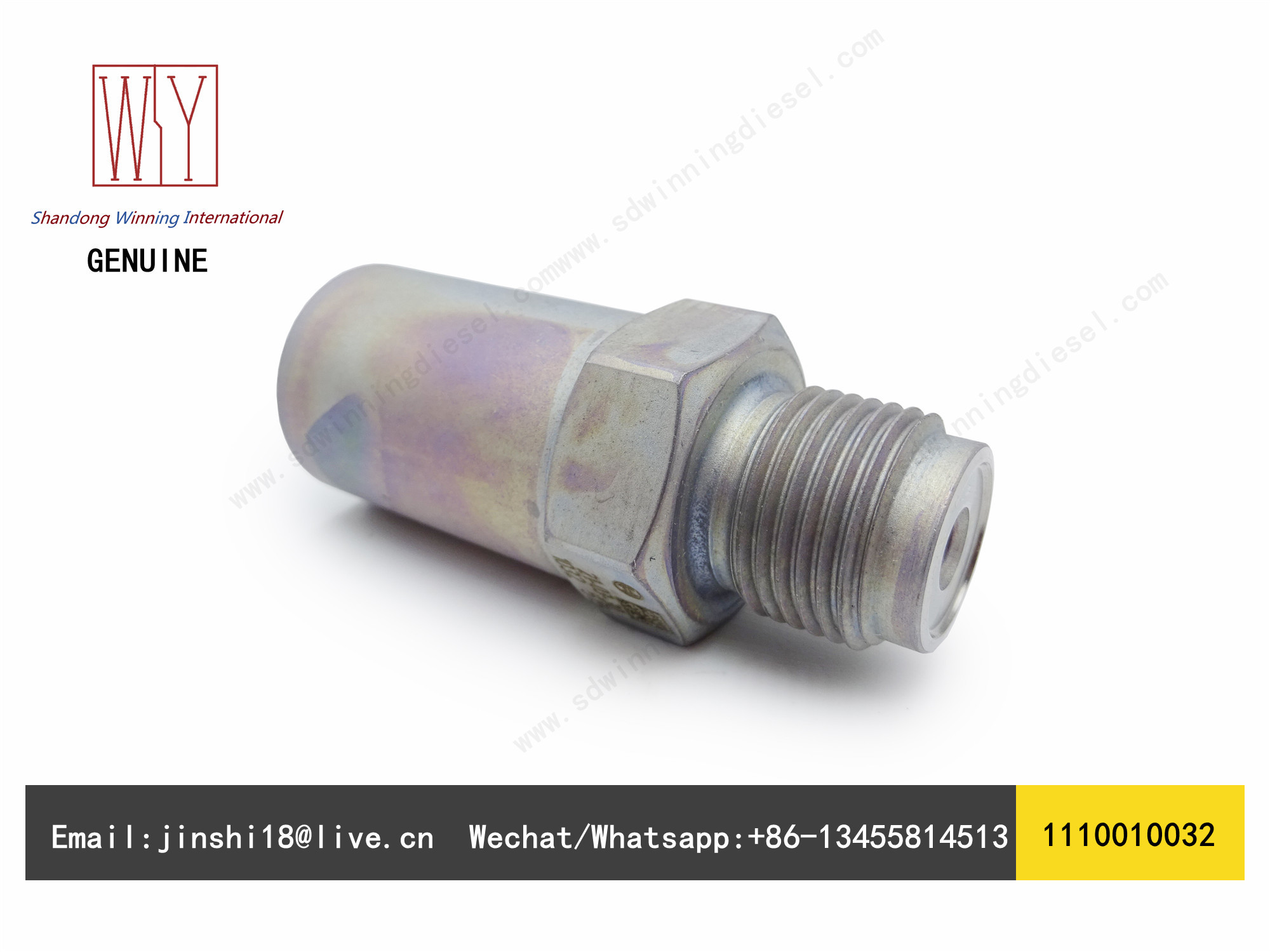 BOSCH GENUINE AND NEW FUEL PRESSURE LIMITER 1110010032 1 110 010 032
