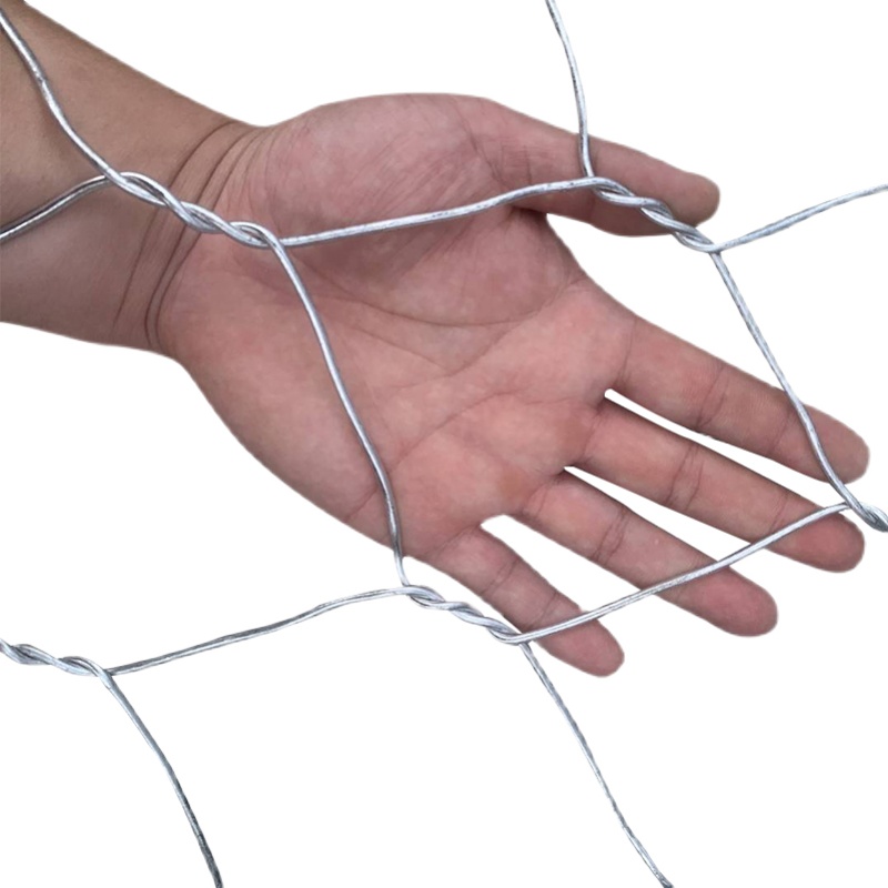 Wholesale High Quality Custom size PVC coated resistant to corrosion flood protect gabbion mesh
