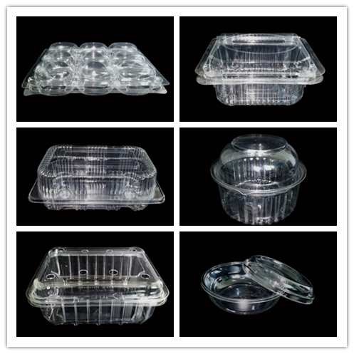 0.3mm PET Glossy Lamination 6 Pack Macaron Box With Bee Printing