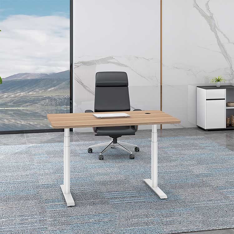1.6M Electric Sit Stand Desk Ergonomic Lifting Standing Table