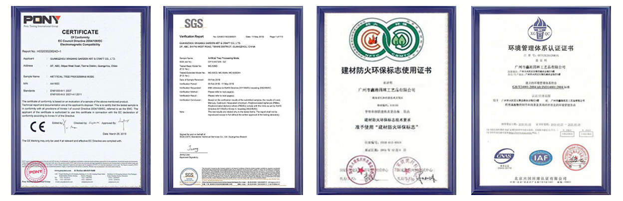 certificate.jpg