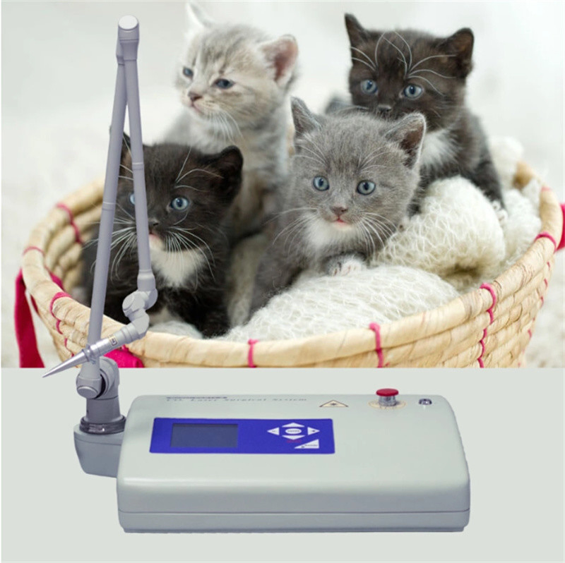 Portable Lcd Veterinary Co2 Laser For Animal Surgery Co2 Laser Surgical Device