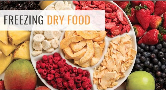 0.6sqm 6-8kg Cheap Food Processing Small Coconut Pineapple Chips Dehydrator mini freezing dryer machine