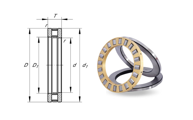 81104 81105 81106 81107 81108 Thrust Roller Bearing in P0 P6 P5 P4 P2 Precision Rating and Chrome Steel Material