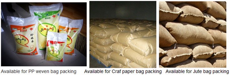 25kg Quantitative Filling Building Materials Packing Machine