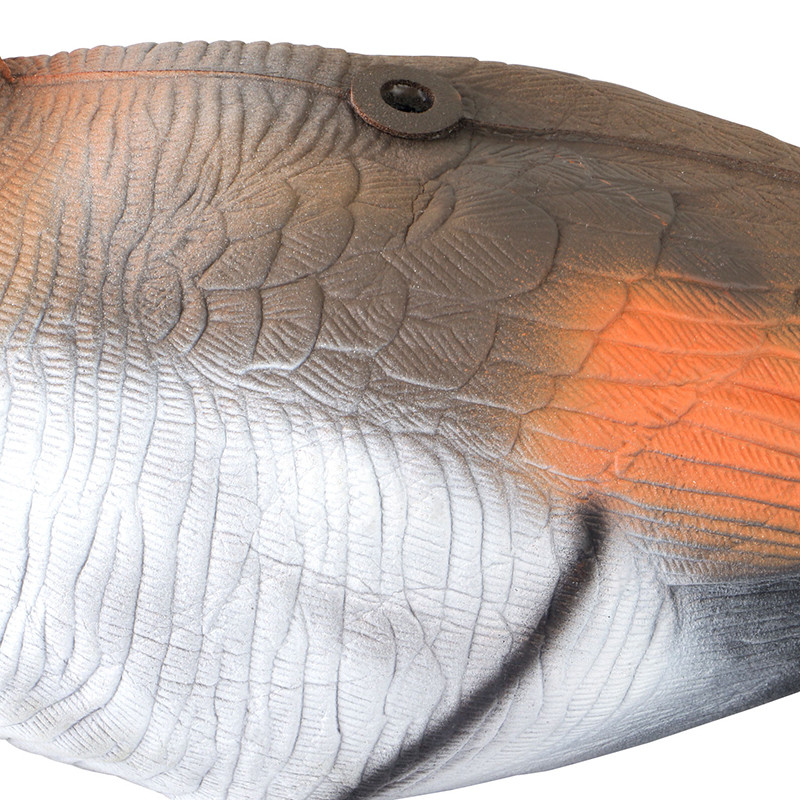 Plastic Rubber Foam Goose Decoys Stretch Neck Feeders / Upright / Sentry
