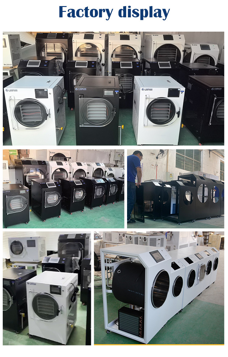 3.5m² Fruit Vegetable Milk Freeze Dryer Double compressor Pet Snack Food Vacuum Freeze Dryer