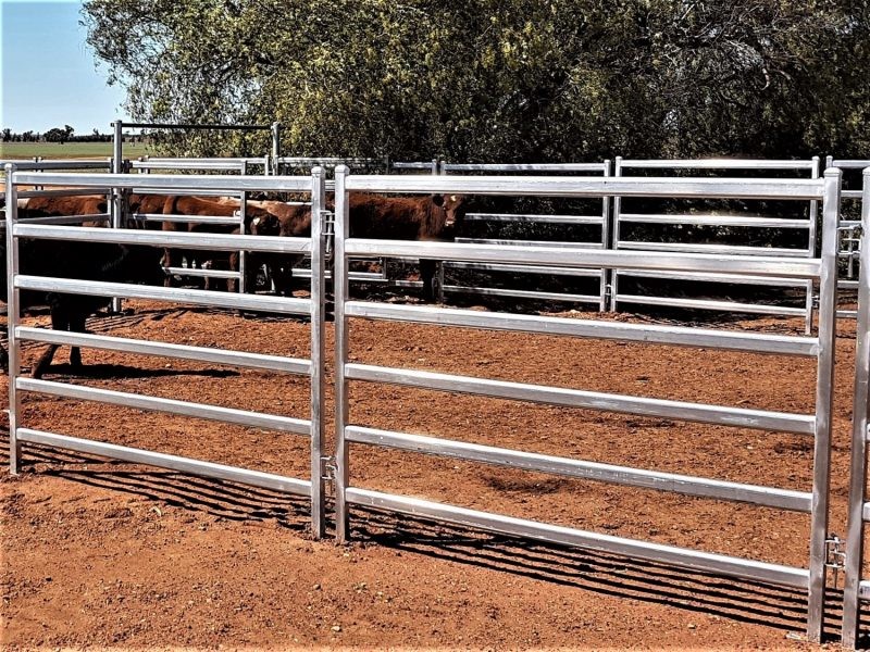 Durable High Strength Portable 40x80mm Oval Rail Cattle Yard Gates 2.1m Width