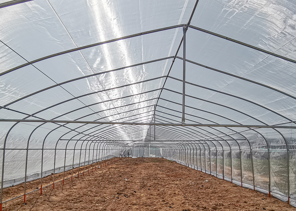 HDPE Insect Net House Galvanized Steel Pipe For Vegetable Seedling Nursery