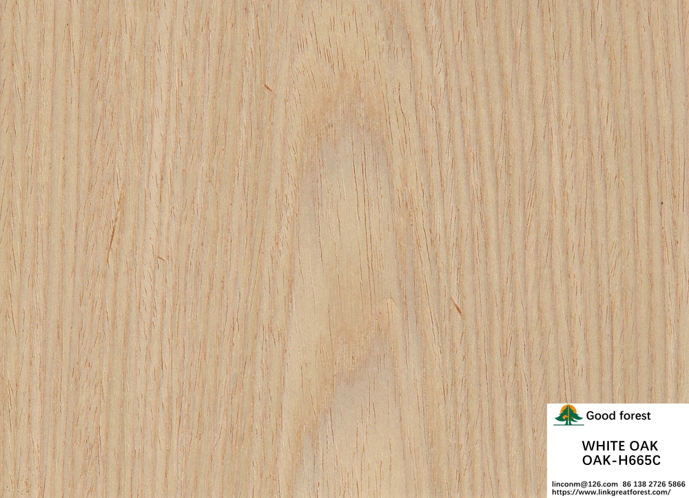 White Oak H665C Flat Cut Recomposed Wood Veneer For For Cabinet Face / Wall Covering