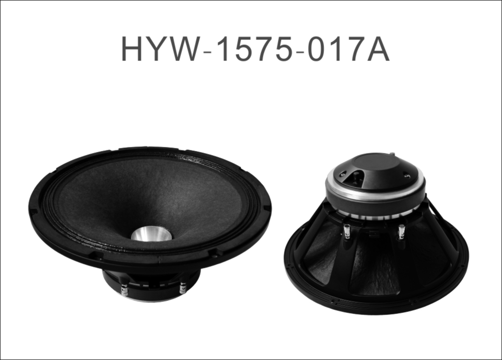 Ferrite magnet 15'' 20khz Coaxial PA Speaker With Big Horn