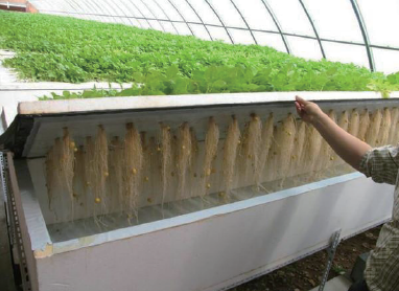 10 kg Weight Honeycomb Ozone Generator for Aquaculture Wastewater Treatment Production