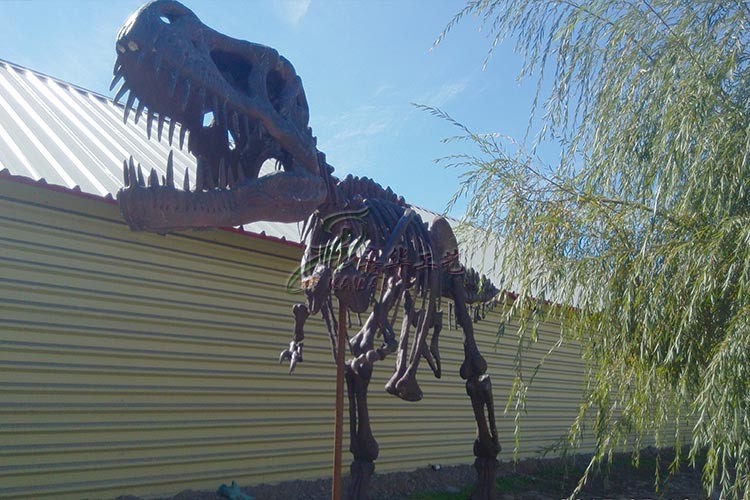 Golden Plated Complete Dinosaur Fossil Dino Skeleton For Amusement Park