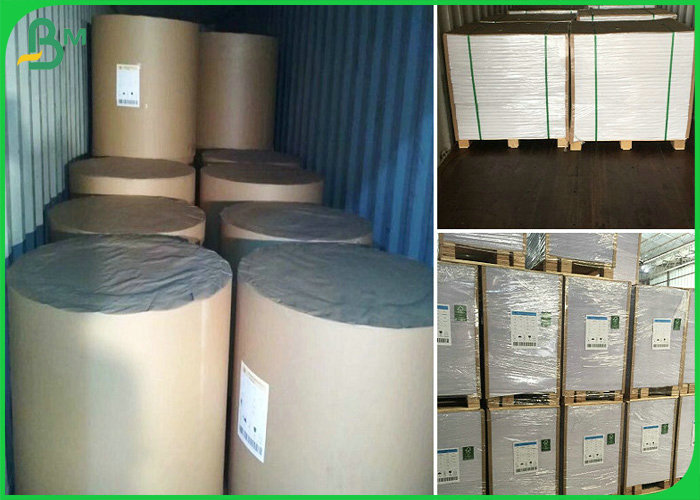 Virgin Pulp 610*860mm 75gsm - 100gsm White Offset Paper For Printing Books