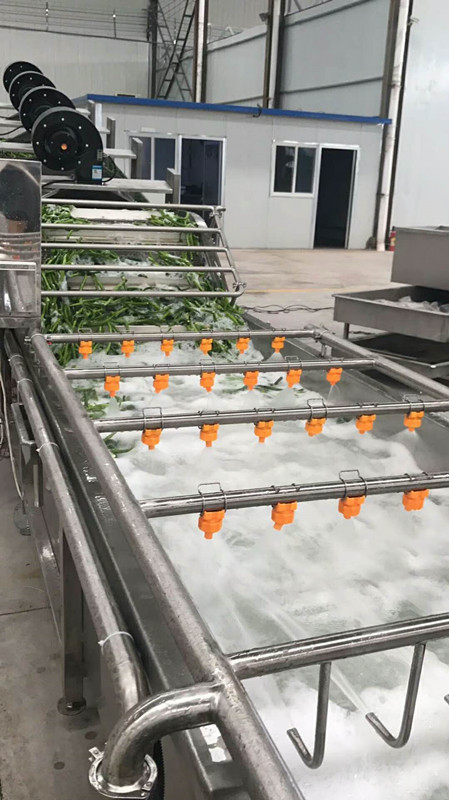 440V Food Cleaning Machine Industrial Vegetable Washing Machine For Olives Avocado