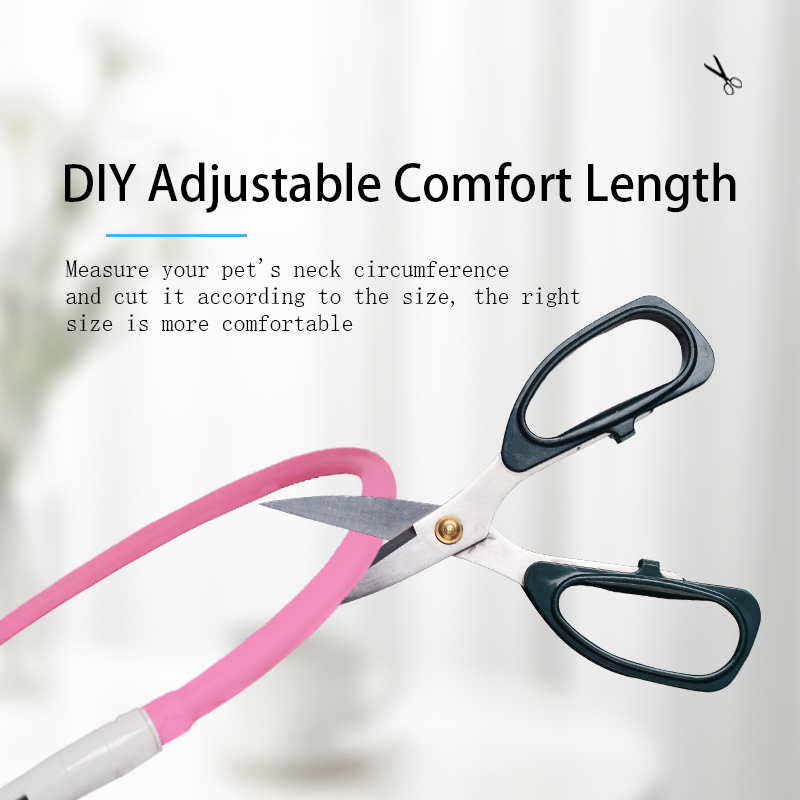 pet led collar