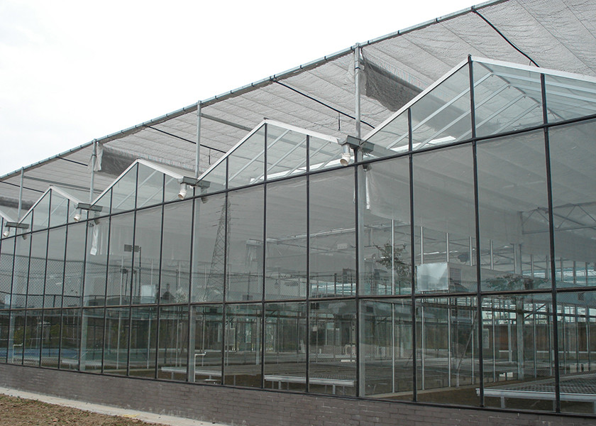 Glass Greenhouses With Thermal Curtain For Perfect Illumination-Deficient Floriculture