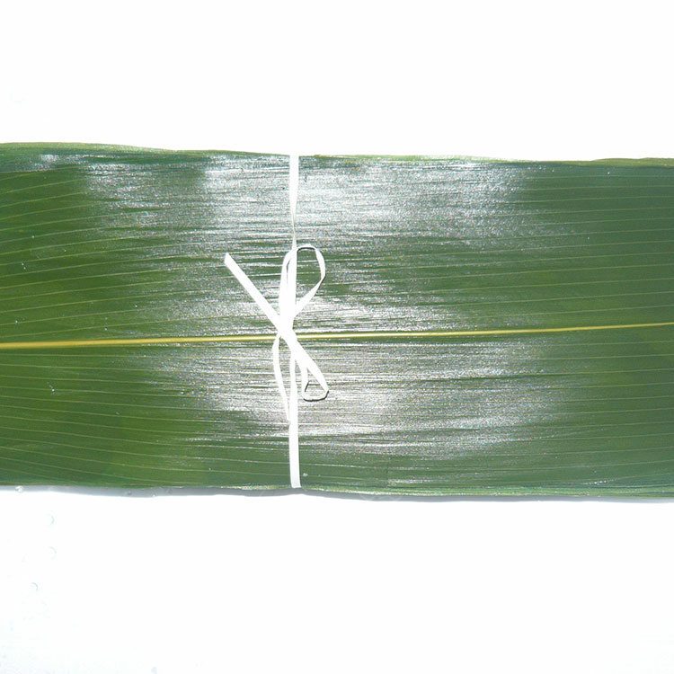 Make Mouth-Watering Rice Dumplings with Vacuum-Packed Fresh Bamboo Leaves Part Leaf