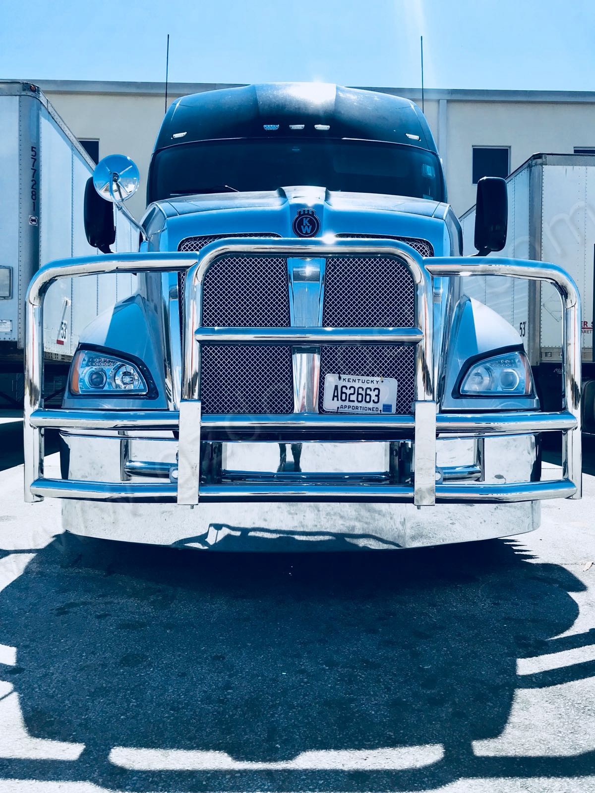 304 Premium Quality Truck Deer Guard 12 Months Warranty For Freightliner