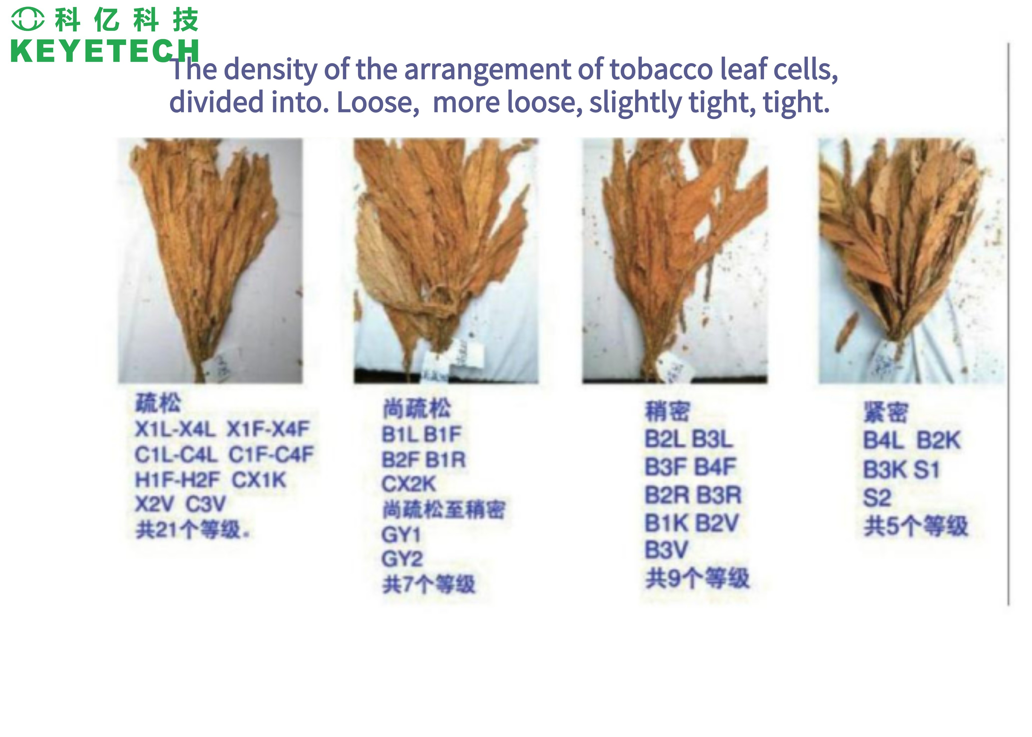 KEYE Tobacco Leaf Automatic Vision Sorting Machine For Quality Inspection
