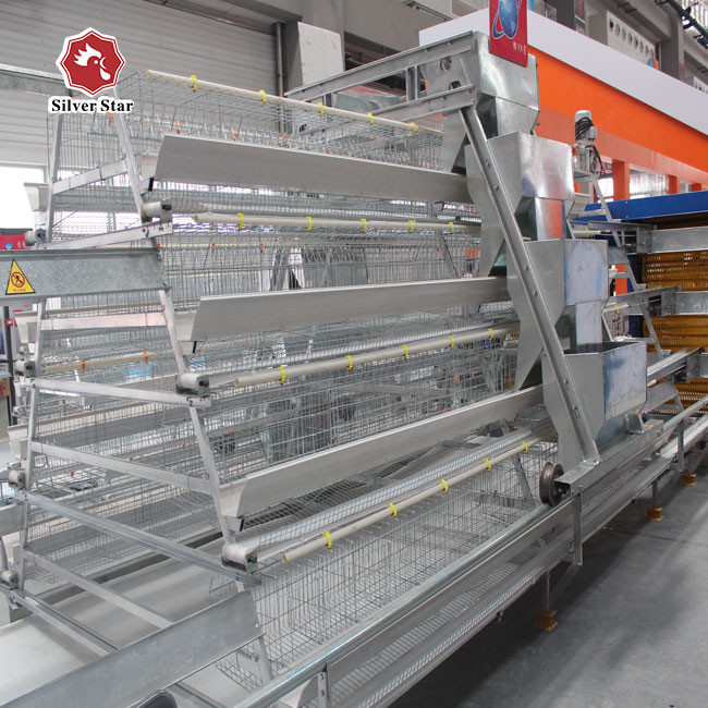 A Type Chicken Hot Galvanized Battery Cage System Silver Color