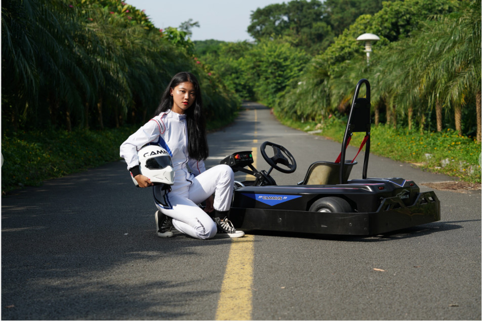 CE 1.2kw 48V Electric Go Kart For Teenager Junior OEM ODM