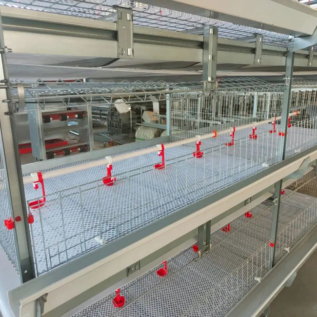 One Day Old Baby Chicks Cage Poultry Drinking System