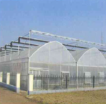Hydroponic Glass / Pc Sheet Greenhouse With Tomato Growing System Large