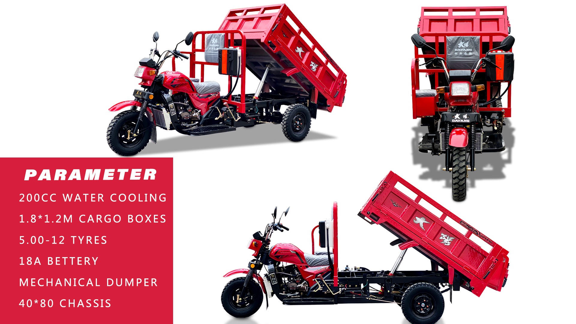 Maximum Speed 50-70Km/h Super Powerful Engine Cargo Tricycle for Adult in South Africa