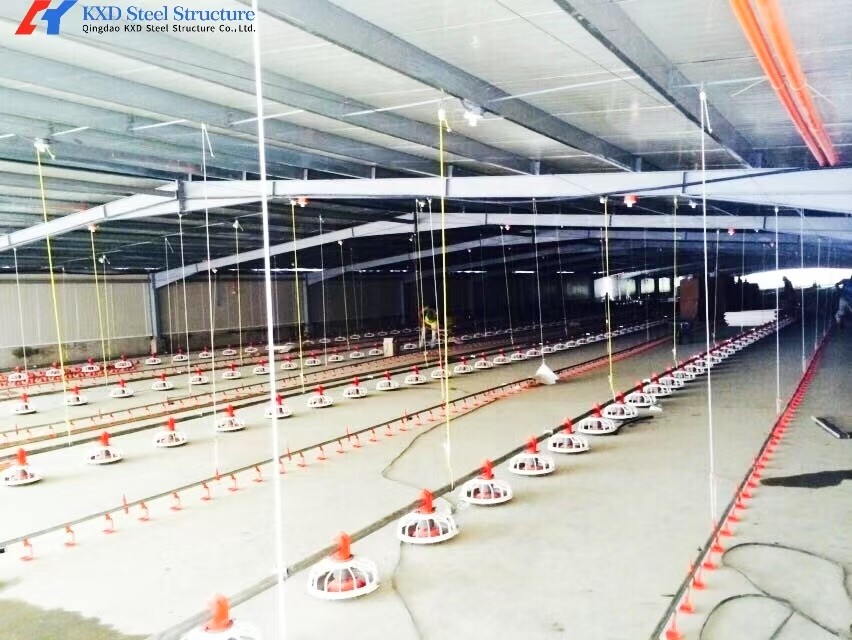 KXD Broiler Poultry Equipment Automatic Poultry Farm Plastic Slatted Flooring