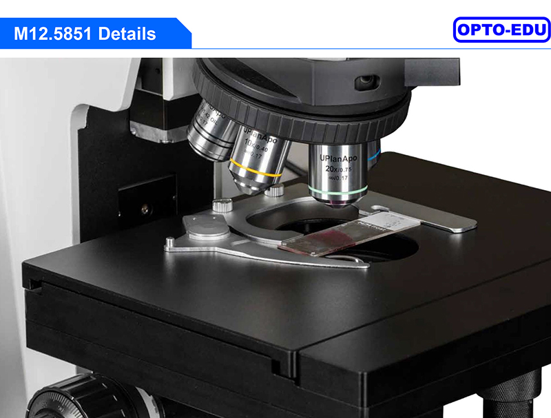 Opto Edu M12.5851 BF XYZ Stage Motorized Laboratory Biological Microscope