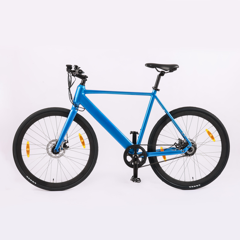 Fashionable Rear Suspension Electric Bike for Adult 48V 250W 500W Road Bicycle