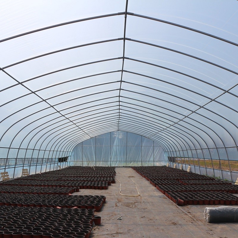 Philippines Prefabricated Kit single-span Strawberry Greenhouse Tunnel Plastic Greenhouse