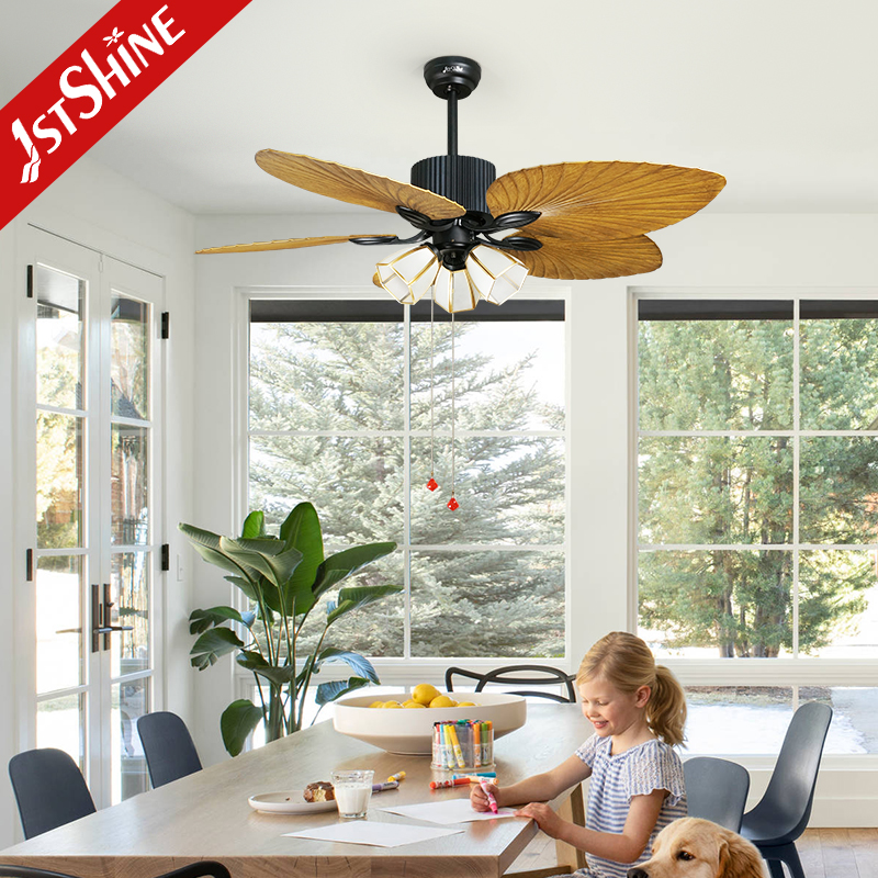 ceiling fan