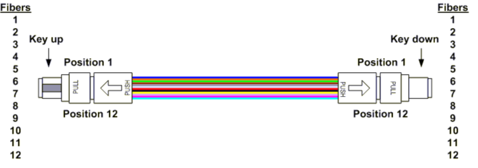 paste-pic-dp_uuid_lq3w7