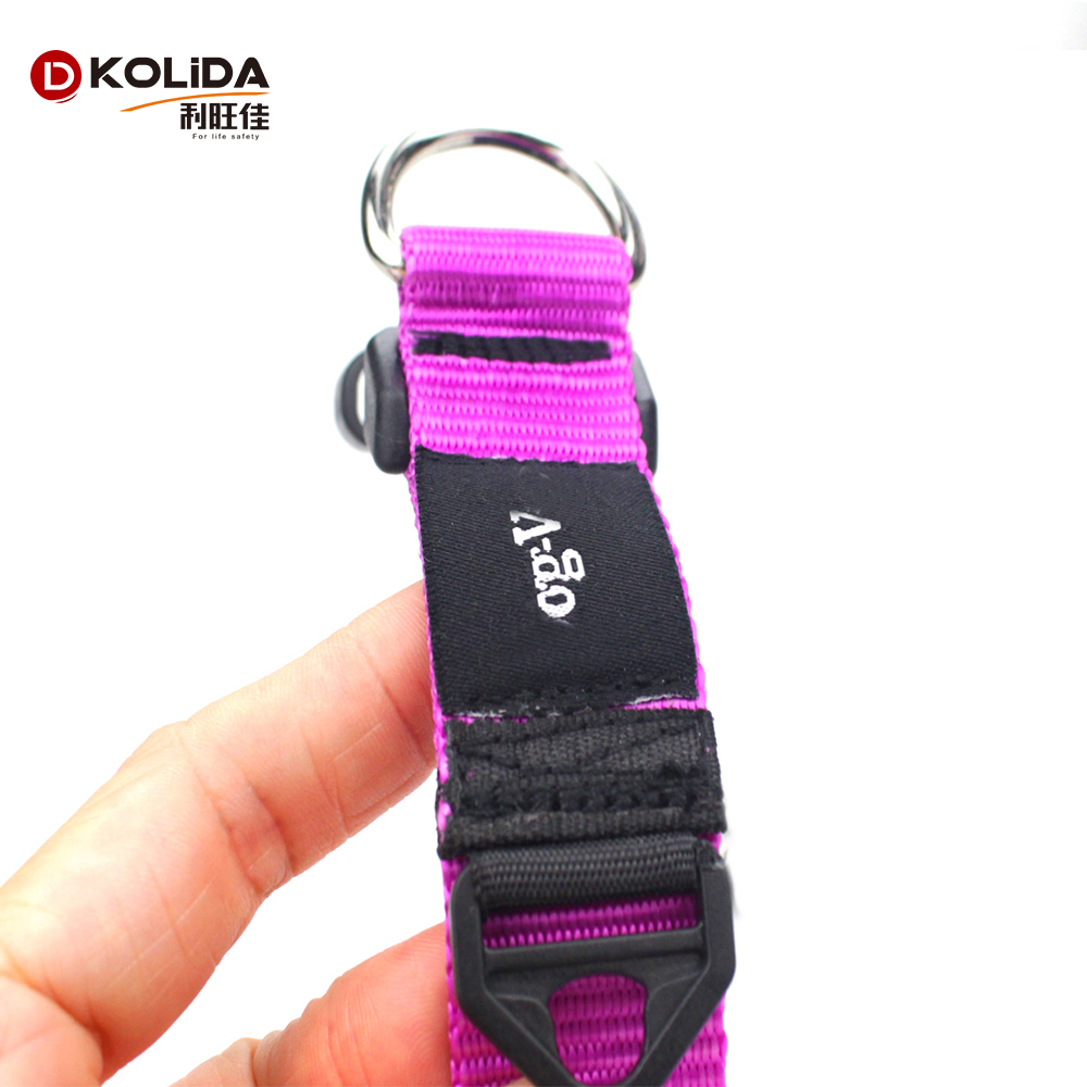 Customized Logo Fashion Style Dog Collar With Four Size Wear Resistance
